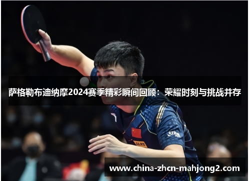 萨格勒布迪纳摩2024赛季精彩瞬间回顾：荣耀时刻与挑战并存