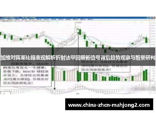 加维对阵莱比锡表现解析折射法甲回暖新信号背后趋势观察与前景研判