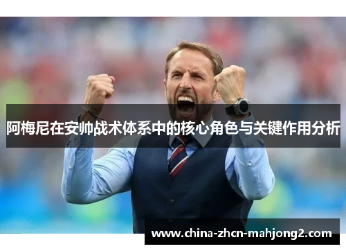 阿梅尼在安帅战术体系中的核心角色与关键作用分析