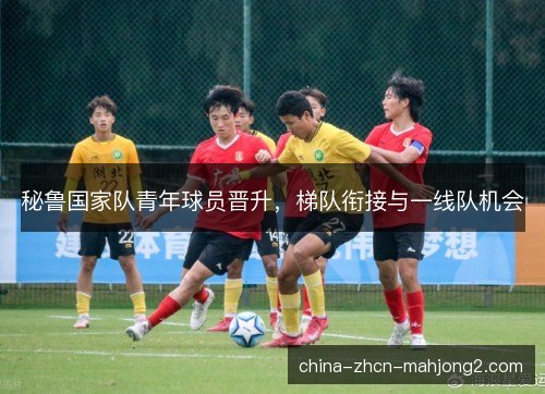 秘鲁国家队青年球员晋升,梯队衔接与一线队机会 秘鲁国家队青年球员晋升,梯队衔接与一线队机会